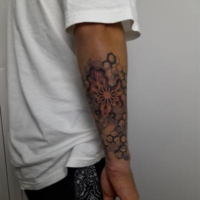 Img 0584